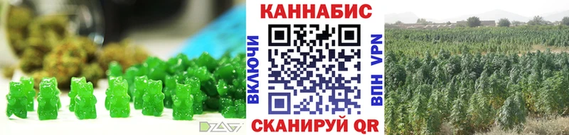 что такое   Новосиль  Cannafood конопля 