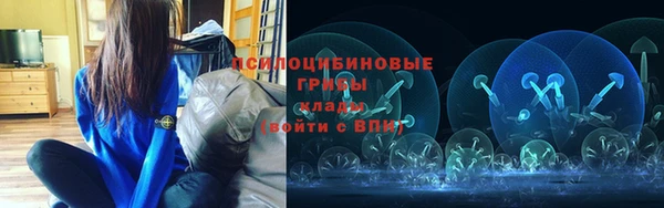 молекула духа Абинск