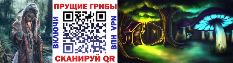 MEGA сайт  Новосиль  Псилоцибиновые грибы MAGIC MUSHROOMS 